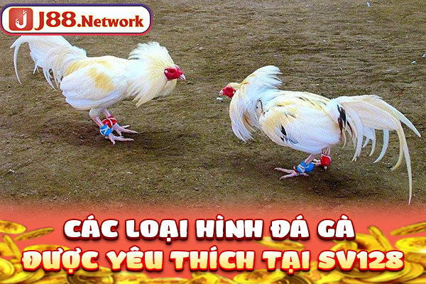 Đá Gà SV128 | Địa Điểm Chất Lượng Đáng Đầu Tư Nhất 2026 - VOSULI.SBS Đá Gà SV128 | Địa Điểm Chất Lượng Đáng Đầu Tư Nhất 2026 - VOSULI.SBS