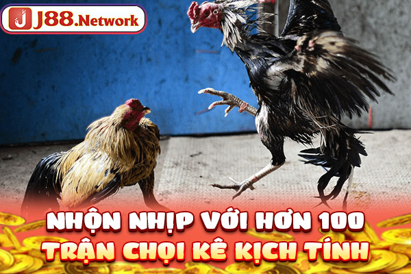 Đá Gà SV388 - Trường Đấu Đẳng Cấp, Số 1 Thị Trường Châu Á - VOSULI.SBS Đá Gà SV388 - Trường Đấu Đẳng Cấp, Số 1 Thị Trường Châu Á - VOSULI.SBS