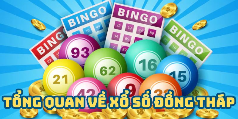 Xổ Số Đồng Tháp - Giải Mã Xu Hướng Cầu Số Và Chiến Lược » BJ 88 - VOSULI.SBS