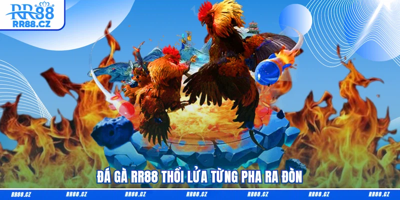 Đá Gà RR88 - Sảnh Cá Cược Chọi Kê Trực Tuyến Cực Cháy - VOSULI.SBS