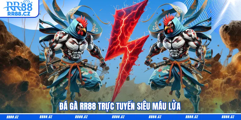 Đá Gà RR88 - Sảnh Cá Cược Chọi Kê Trực Tuyến Cực Cháy - VOSULI.SBS