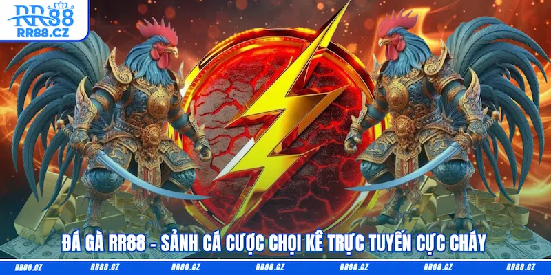 Đá Gà RR88 - Sảnh Cá Cược Chọi Kê Trực Tuyến Cực Cháy - VOSULI.SBS
