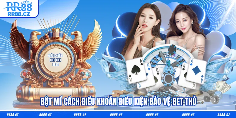 Điều Khoản Điều Kiện RR88 - La Bàn Sống Còn Khi Xanh Chín - VOSULI.SBS