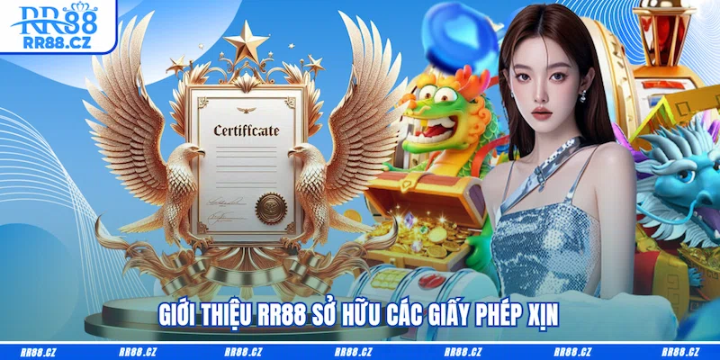 Giới Thiệu RR88 - Lật Mở Bí Mật Về Thương Hiệu Cá Cược Hot - VOSULI.SBS
