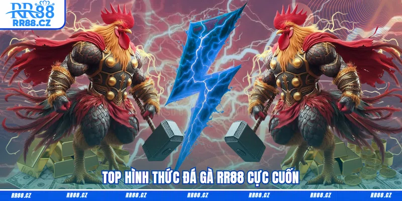 Đá Gà RR88 - Sảnh Cá Cược Chọi Kê Trực Tuyến Cực Cháy - VOSULI.SBS